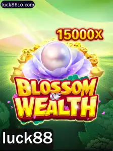Descubra o Mundo de BlossomofWealth: Um Jogo de Estratégia e Sorte